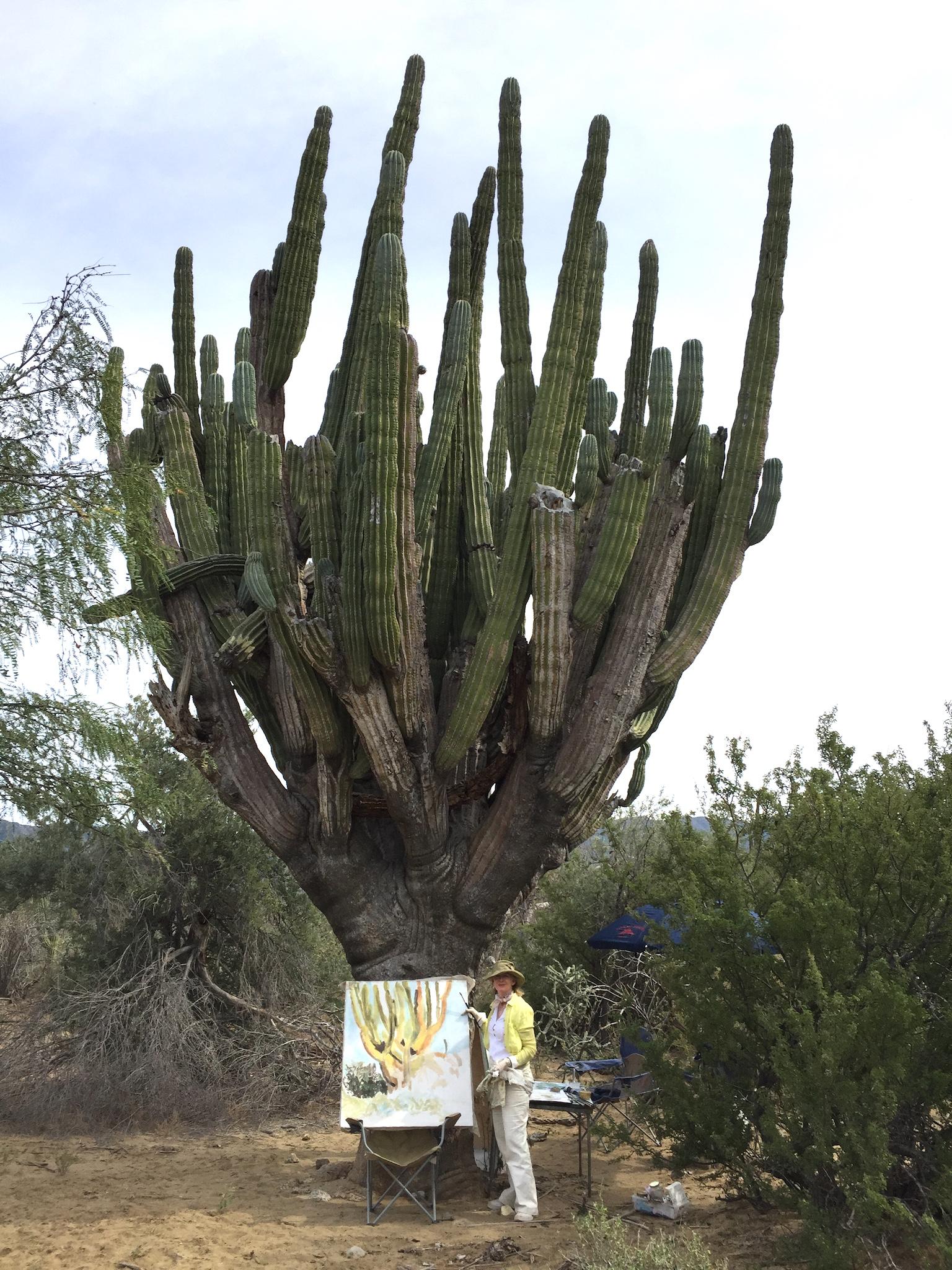 Contemporary Desert Landscape Cactus Oil painting sage, yellow light blue – Painting von Gianne de Genevraye