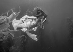 "Kelp Nymph" Photography Print 24" x 36" inch Edition 1/24 by Alex Sher