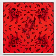 "Rebrum Oculus" Unique Original photography by Larsen Sotelo