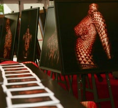 "OPTASIA 02" Abstract Photography 39" x 39" inch Edition 3/5 by Giuliano Bekor