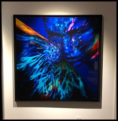 "LB22" Abstract Photography (FRAMED) 48" x 48" inch Ed. of 4 by Giuliano Bekor