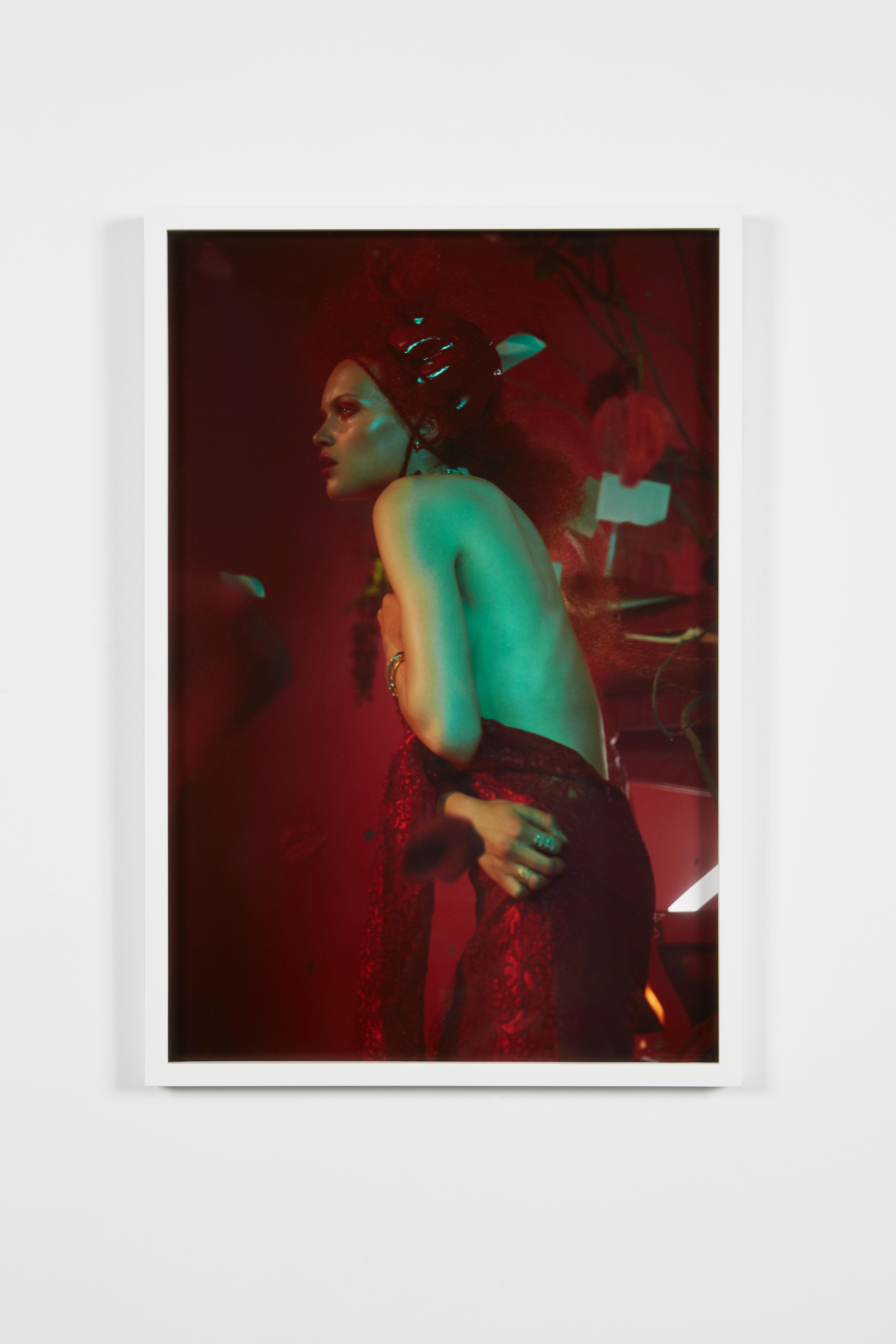 That Flies in the Night (FRAMED) Fotografie 30x20 in Ed. of 5 von Brian Ziff, That Flies in the Night im Angebot 2