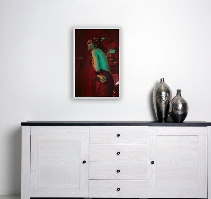 That Flies in the Night (FRAMED) Fotografie 30x20 in Ed. of 5 von Brian Ziff, That Flies in the Night im Angebot 3