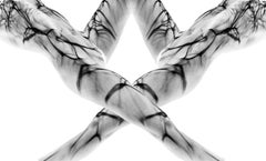 "Crossfirer" Original underwater Print Edition 1/22 by Alex Sher