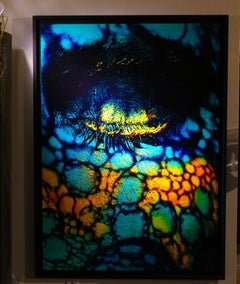 "LB10" (FRAMED) Fotografia astratta 56 x 40 pollici Edizione 2/4 di Giuliano Bekor