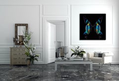 "Butterflies B8" Original photography Limited Edition of 6 by Giuliano Bekor