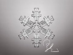 Snowflake 3 Limited edition of 8 Glass sculpture by Huang Yulong