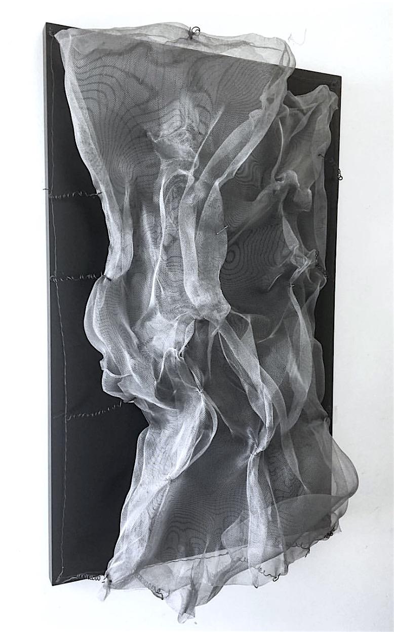 SUPINE WAVES Skulptur von Melanie Newcombe
Aluminium-Fensterbildschirm, Aluminium- und Stahldraht, Holz, Farbe
50" x 30" x 10" Zoll
2017

Über Melanie Newcombe 

Melanie Newcombe ist eine amerikanische Bildhauerin, die in Los Angeles, CA, lebt und