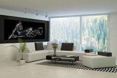 "Octopussy O20" Abstract Photography 40" x 84" in Edition 2/6 by Giuliano Bekor