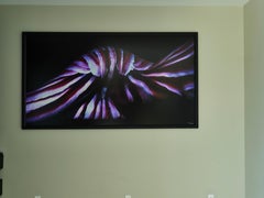 "WB2" Abstract Photography (FRAMED) 48" x 90" inch Edition 3/6 by Giuliano Bekor
