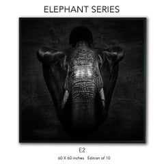 "E2" Black & White Photography 60" x 60" in Ed. 1/10 by Giuliano Bekor