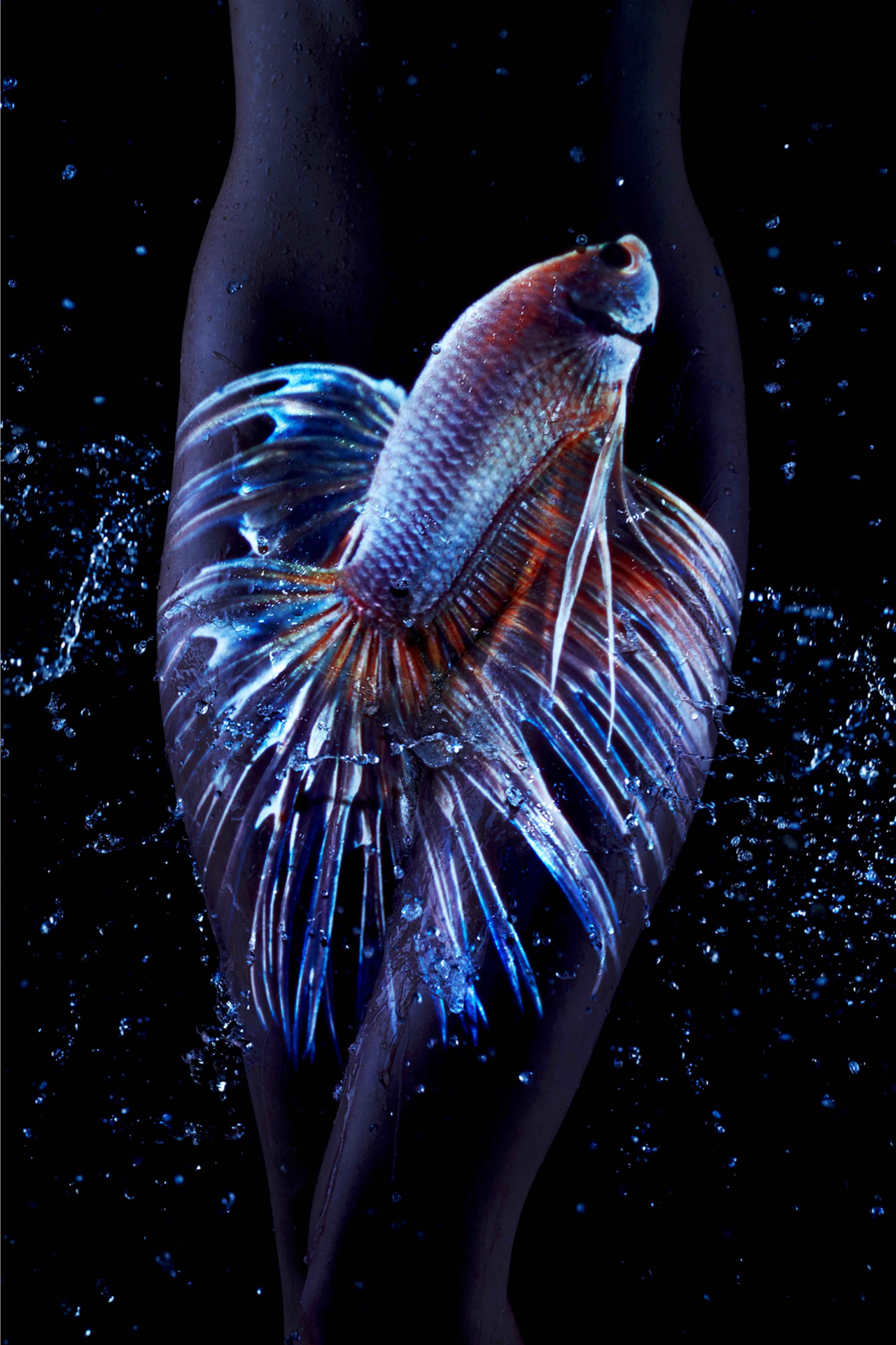 giuliano betta