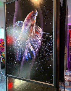 "WB9" Photography (FRAMED) 62" x 42" inch Edition of 10 by Giuliano Bekor