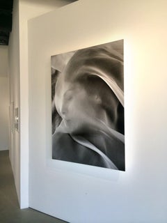 "Wrapped Series Untitled #4" Photography 38x28in Edition 1/10 by Robert Mack