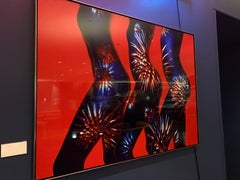 "LB28" (FRAMED) Photography 40" x 54" in Edition of 2/4 by Giuliano Bekor