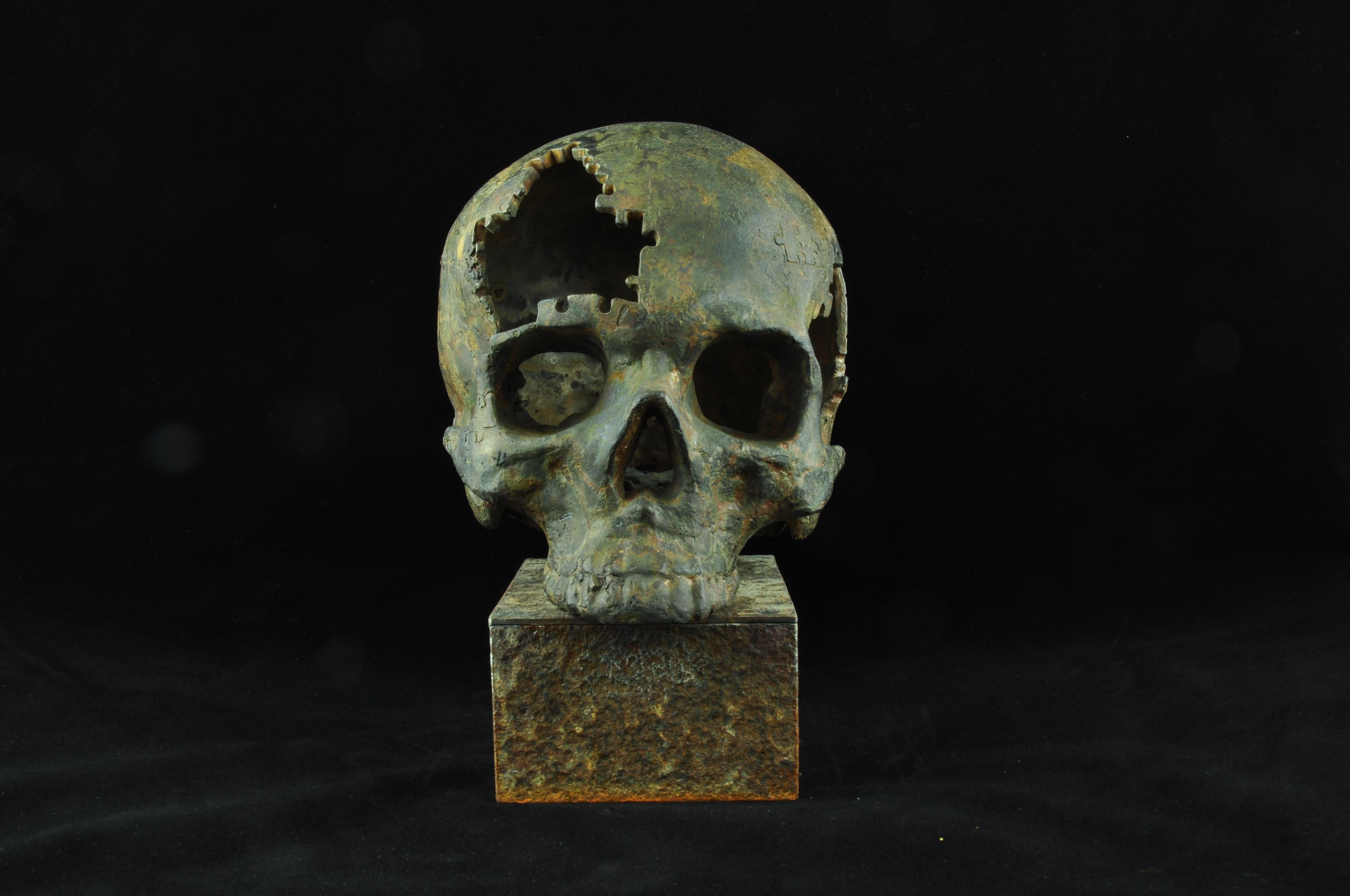 "The known unknown Nr. 3" Bronze and Steel Sculpture 1/1 by Sergii Shaulis

11.61" x 5.5" x 9.8'' inch 
Weight: 13 lbs

The known unknown series 
The project is dedicated to the horrible events that took place on the territory of Ukraine, to the