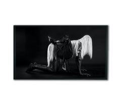 "WH2" Photography 48" x 84" inch Edition 1/6 by Giuliano Bekor