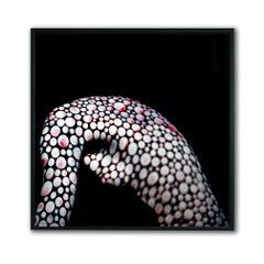 "M4" "FRAMED" Photography 40" x 40" inch Edition 3/20 by Giuliano Bekor