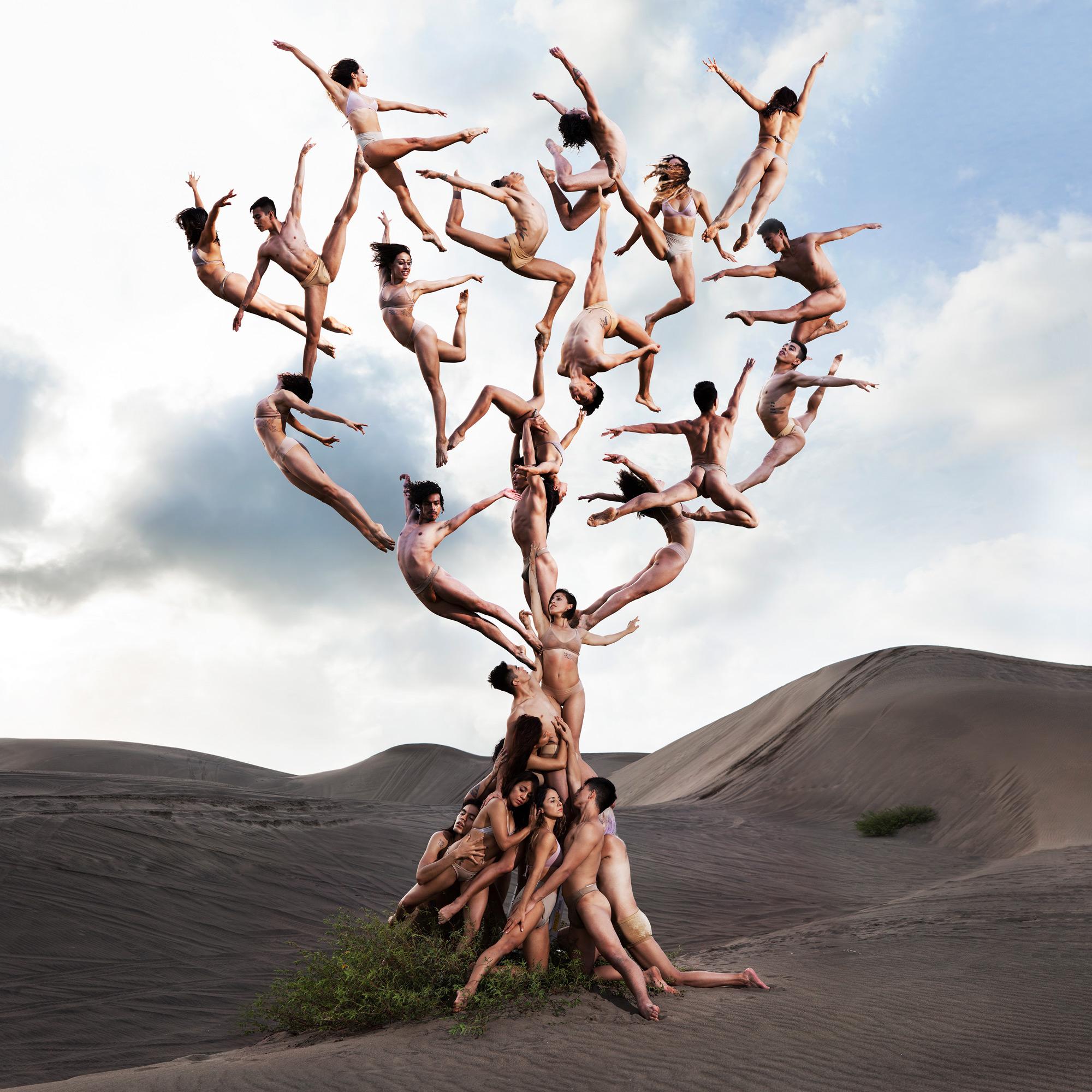 „The Tree Of Life“ Fotografie 40" x 40" Zoll Ed. 9/12 von Rob Woodcox