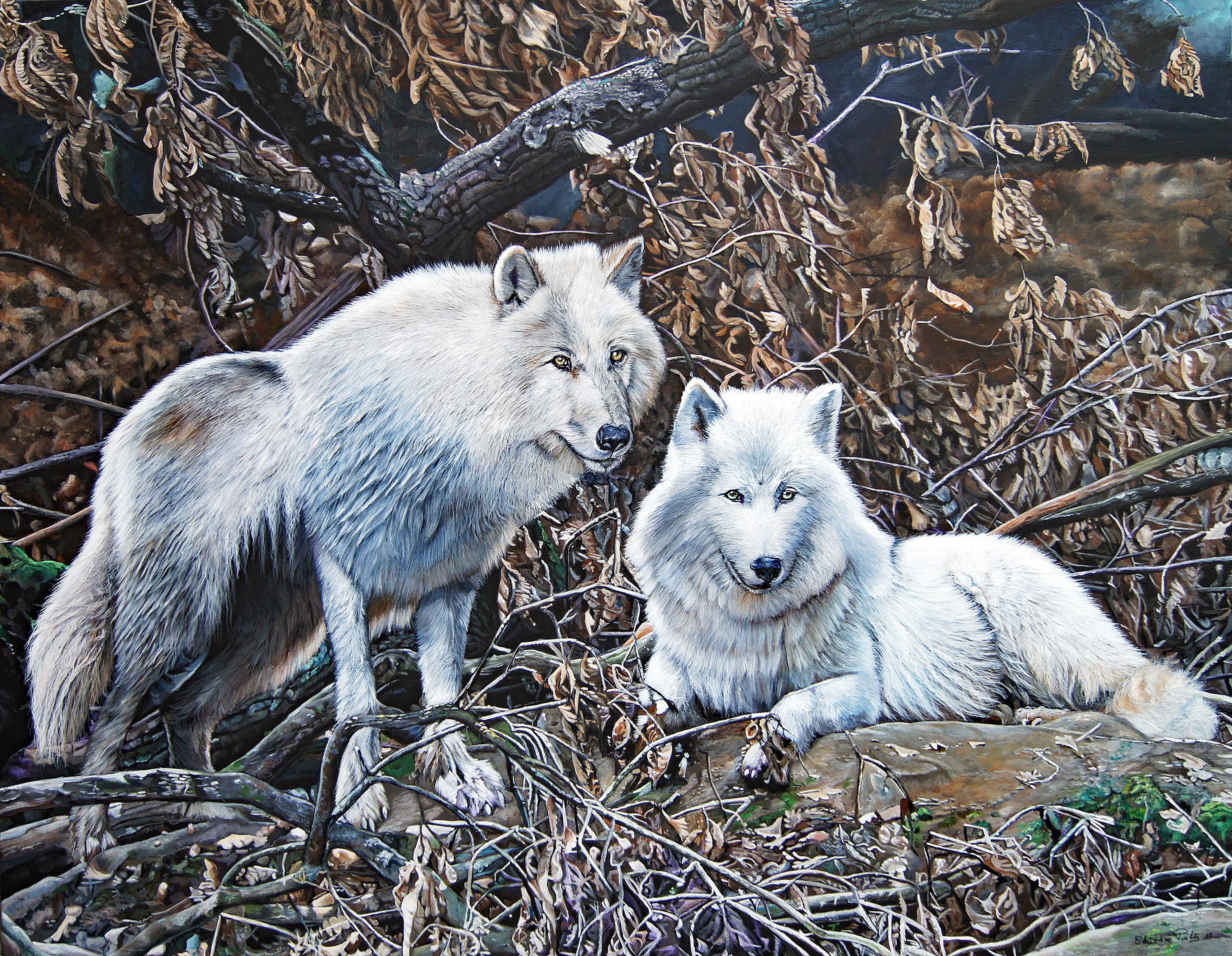 Acrylique sur toile

Christine Pultz est une peintre animalière française née en 1953 qui vit et travaille à Pontault-Combault, en France. Passionnée par la peinture d'animaux, en particulier par les portraits de félins, Christine Pultz estime que