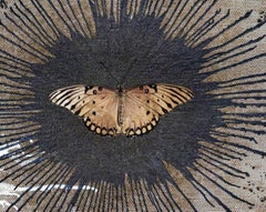 Indian Contemporary Art by Sumit Mehndiratta - Occupy