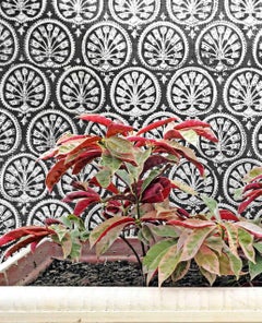 Indian Contemporary Art by Sumit Mehndiratta - Leaves on Fire