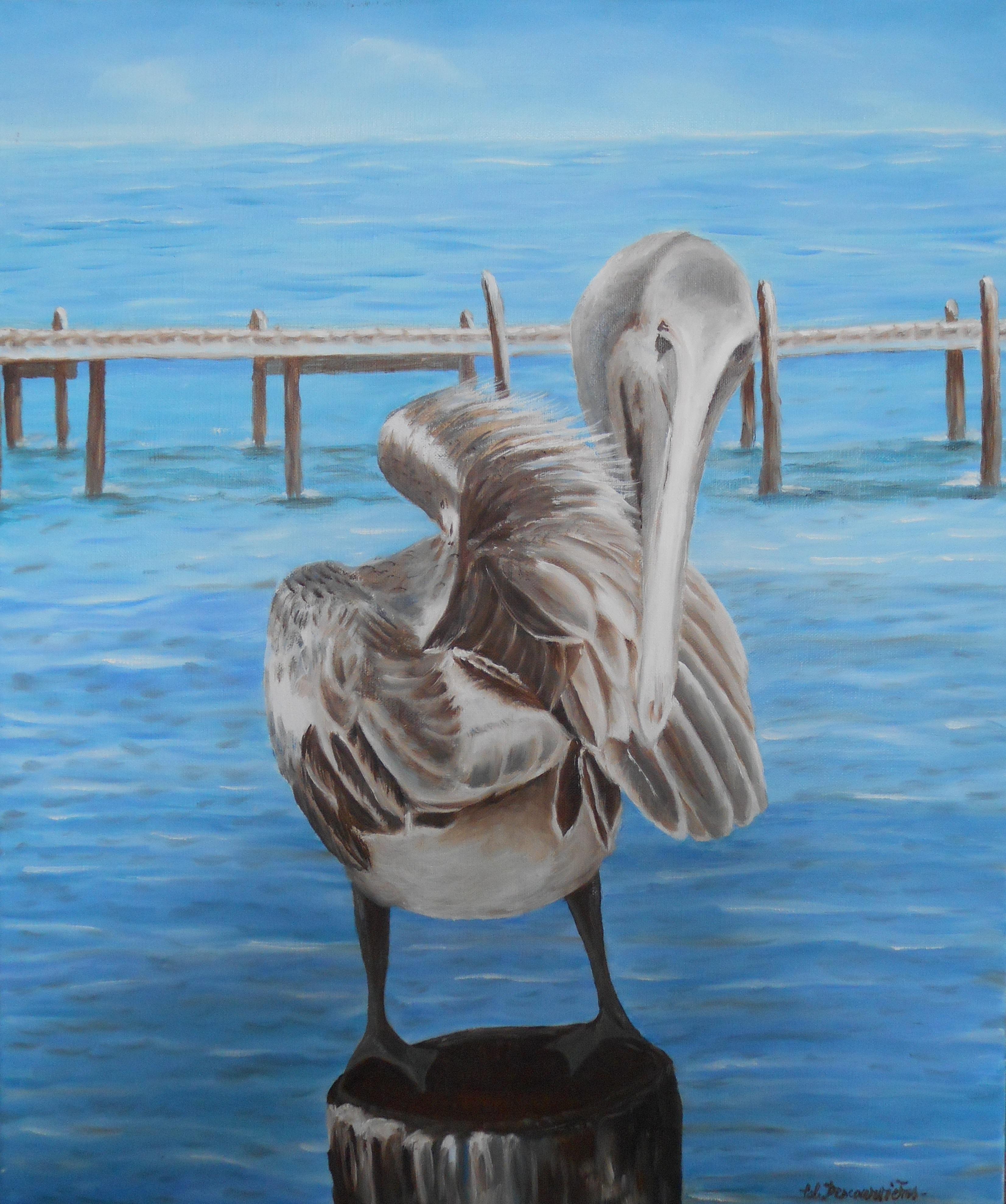 paintings of pelicans
