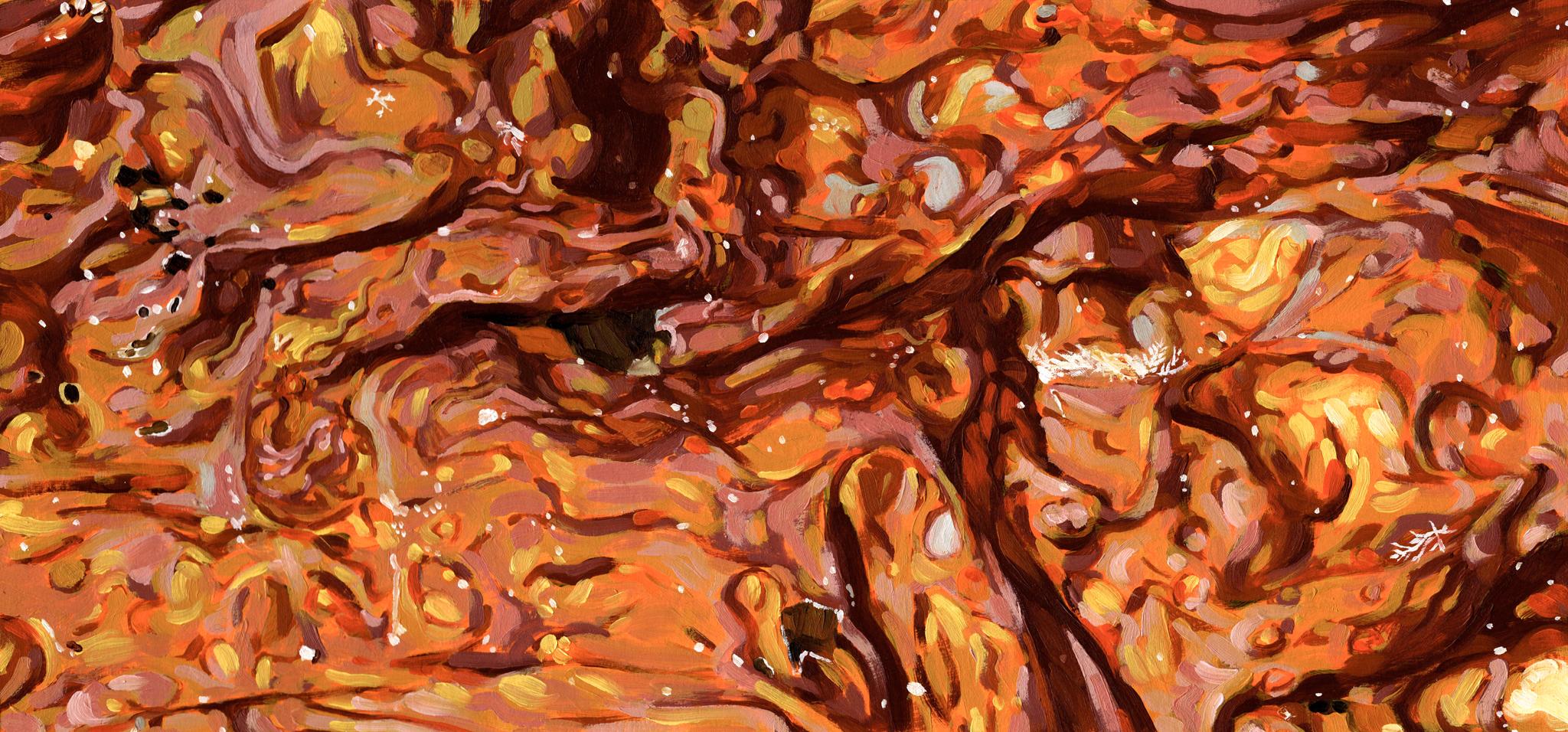 Art contemporain canadien de Christian Frederiksen - Algues brûlées par le soleil