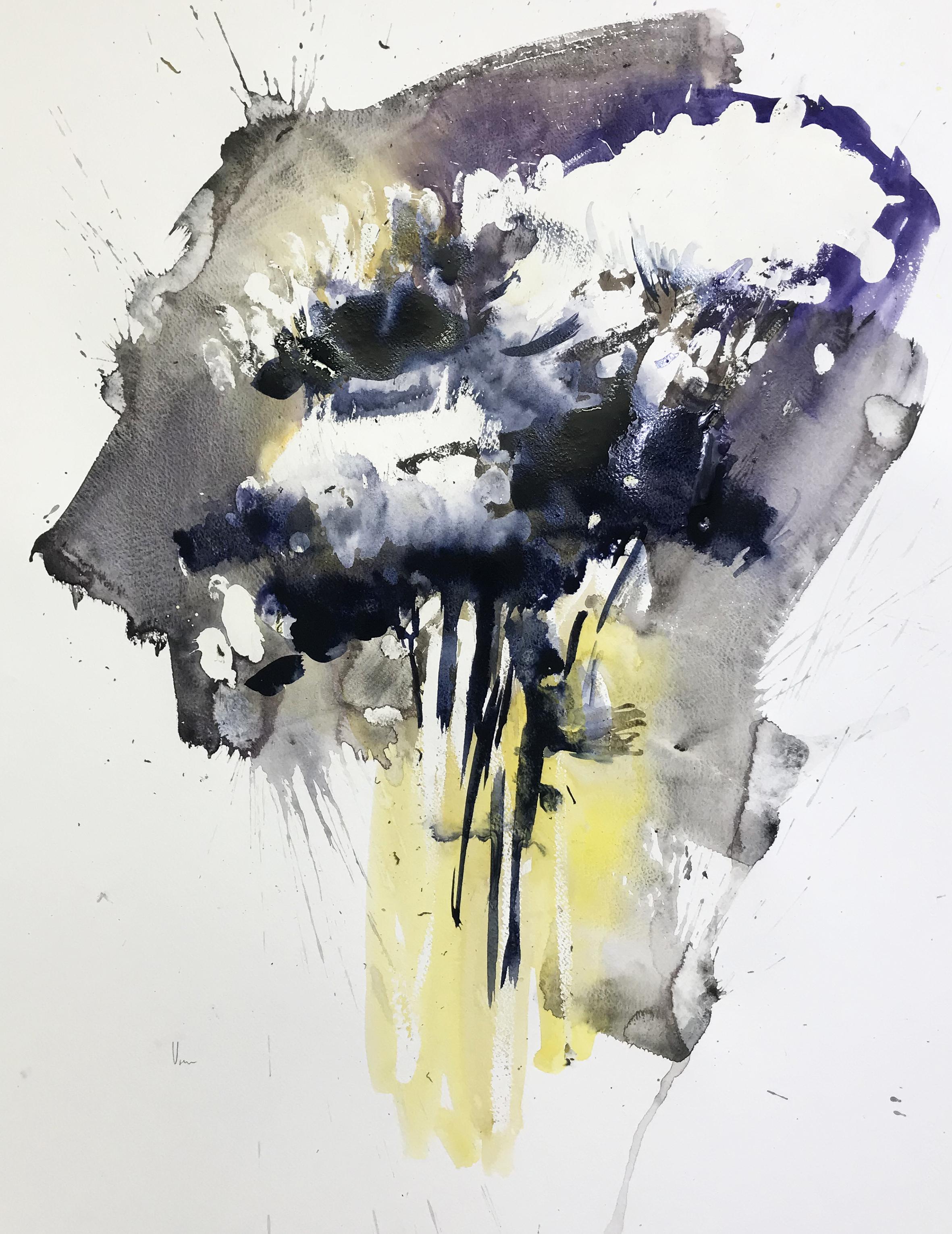 Aquarell, Tinte auf Canson-Papier 300 g.

Doïna Vieru ist eine 1978 geborene ecuadorianisch-moldawische Künstlerin, die in Frankreich, Paris, lebt und arbeitet. Sie hat immer pas/pas/passioniert das Bild dem Wort vorgezogen und das trotz Krisen von