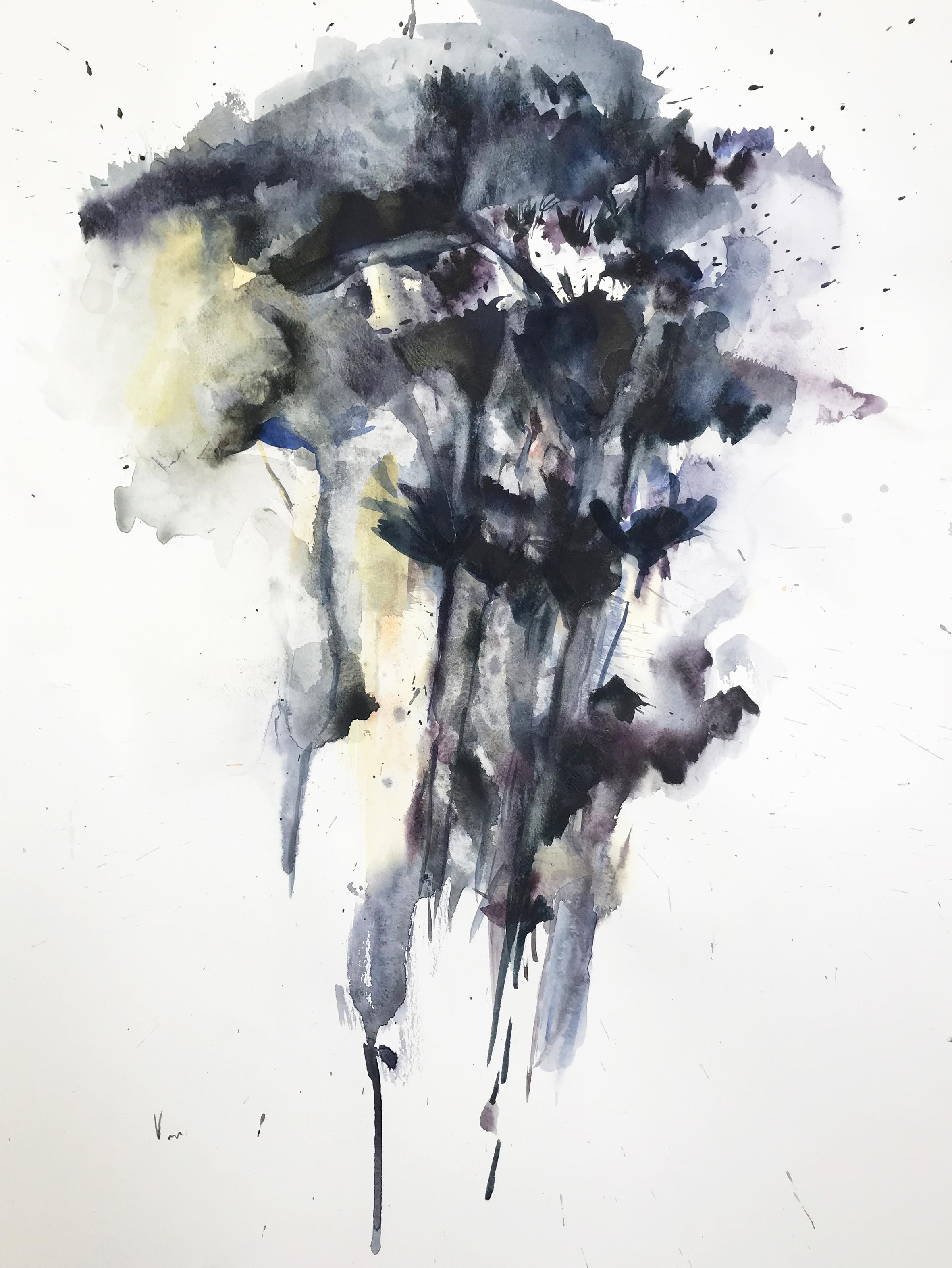 Aquarell, Tinte auf Canson-Papier 300 g.

Doïna Vieru ist eine 1978 geborene ecuadorianisch-moldawische Künstlerin, die in Frankreich, Paris, lebt und arbeitet. Sie hat immer pas/pas/passioniert das Bild dem Wort vorgezogen und das trotz Krisen von