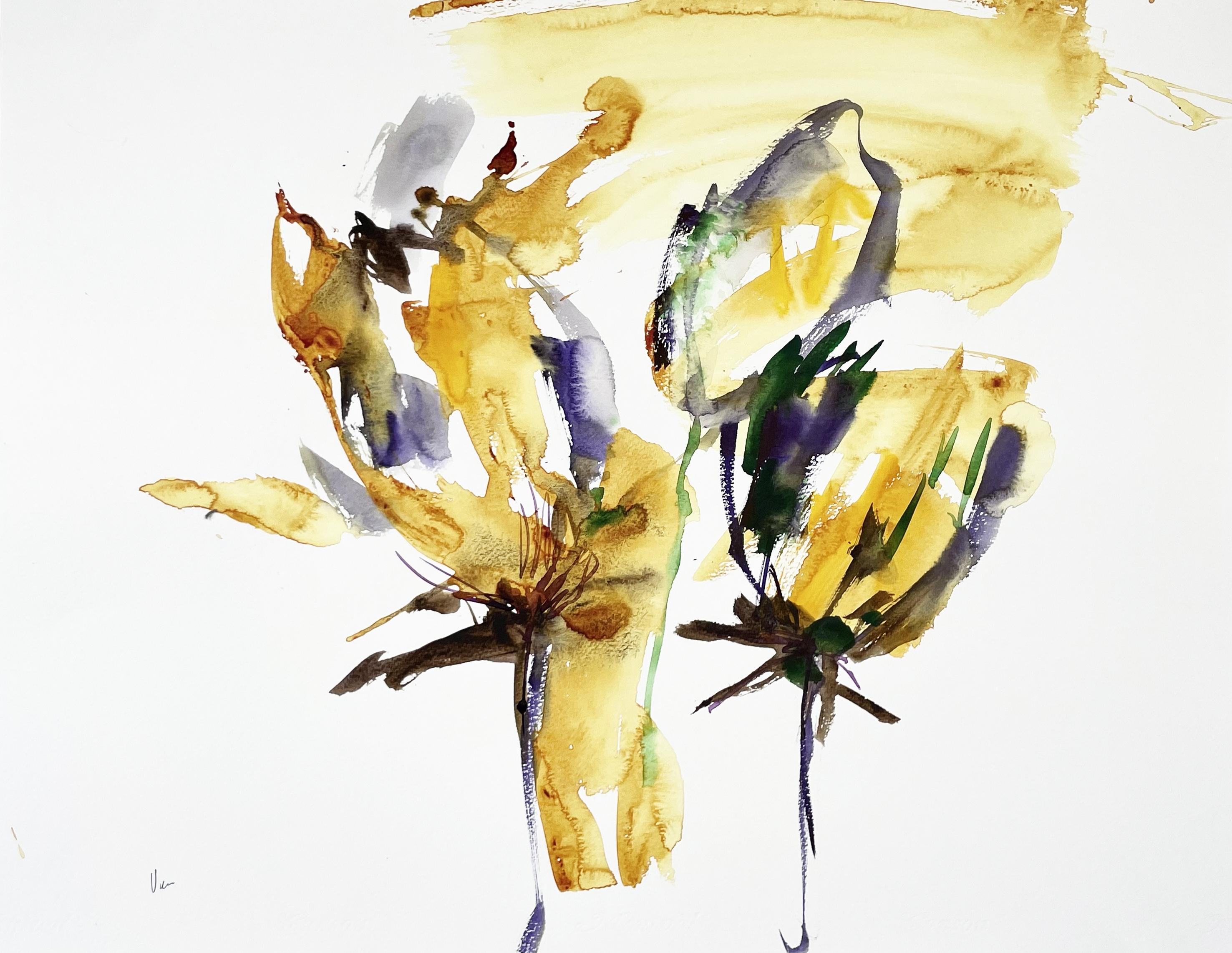 Aquarell auf Canson-Papier 300 g
Das Kunstwerk wird aufgerollt in einer Röhre verschickt

Doïna Vieru ist eine 1978 geborene ecuadorianisch-moldawische Künstlerin, die in Frankreich, Paris, lebt und arbeitet. Sie hat immer pas/pas/passioniert das