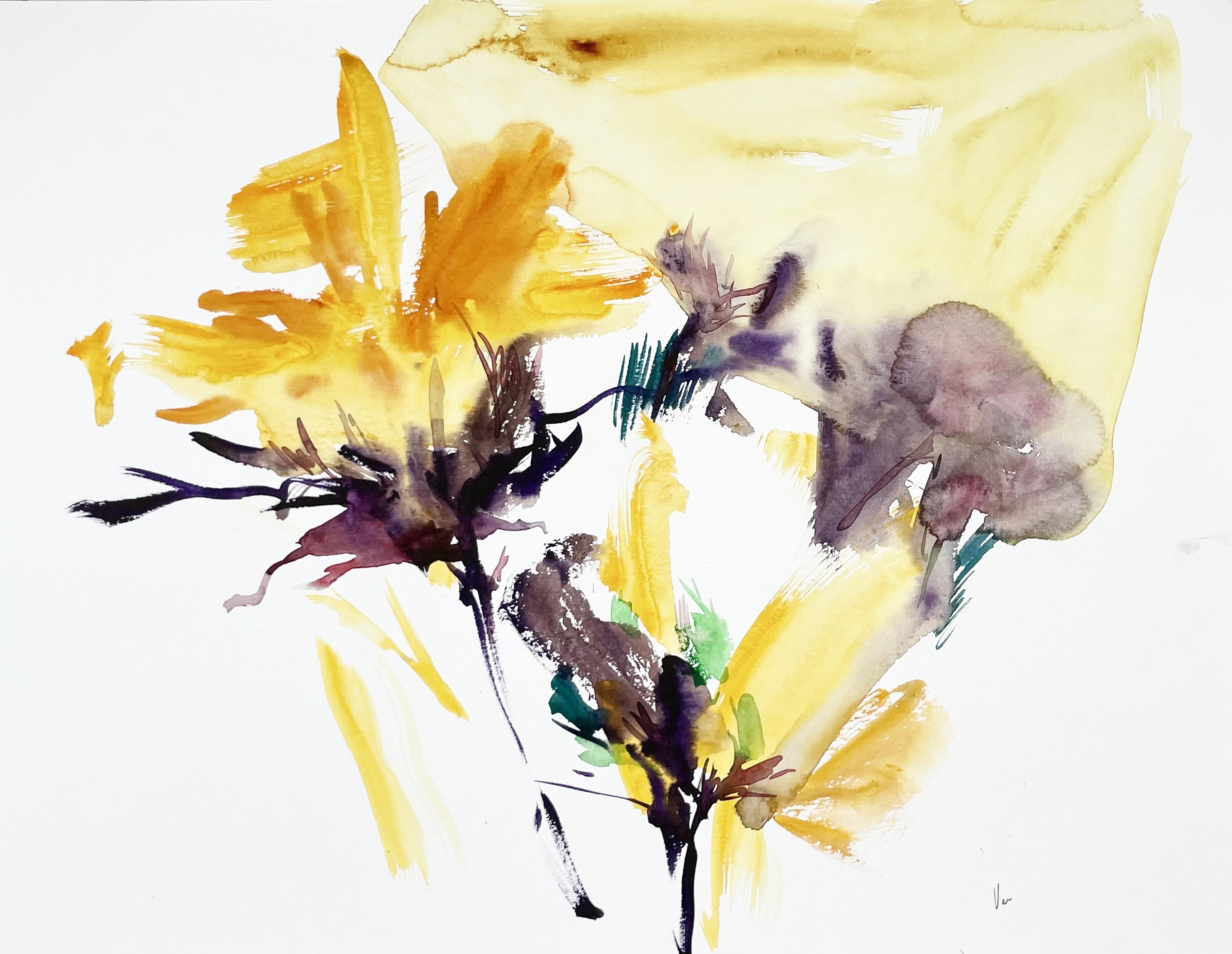 Aquarell auf Canson-Papier 300 g
Das Kunstwerk wird aufgerollt in einer Röhre verschickt

Doïna Vieru ist eine 1978 geborene ecuadorianisch-moldawische Künstlerin, die in Frankreich, Paris, lebt und arbeitet. Sie hat immer pas/pas/passioniert das