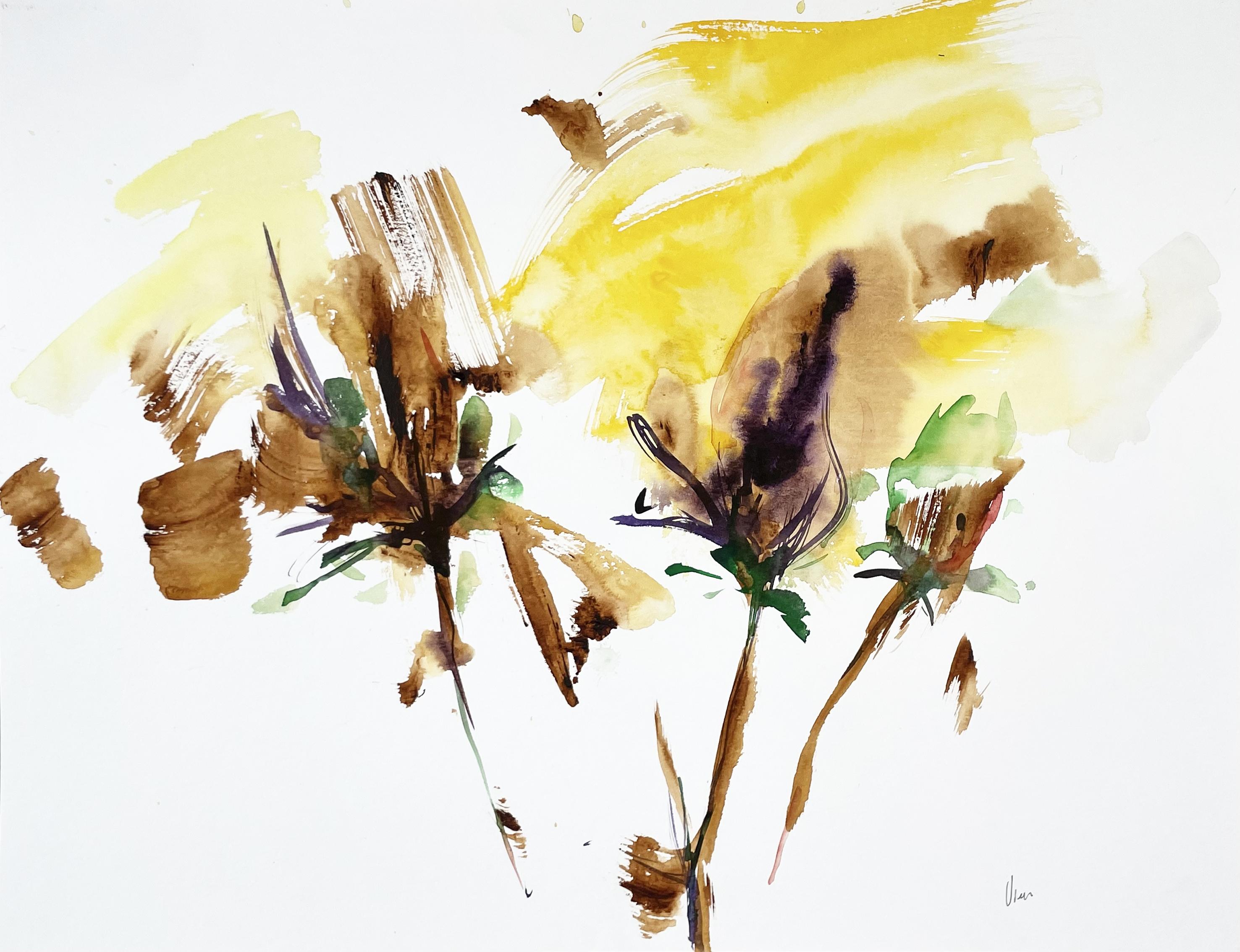 Aquarell auf Canson-Papier 300 g
Das Kunstwerk wird aufgerollt in einer Röhre verschickt

Doïna Vieru ist eine 1978 geborene ecuadorianisch-moldawische Künstlerin, die in Frankreich, Paris, lebt und arbeitet. Sie hat immer pas/pas/passioniert das