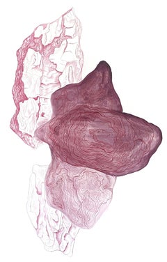 Romanian Contemporary Art by Laura Partin - Pinus Nigra