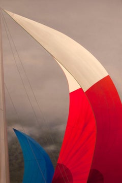 Amerikanische zeitgenössische amerikanische Kunst von Elena Borstein - Rot Weiß & Blau