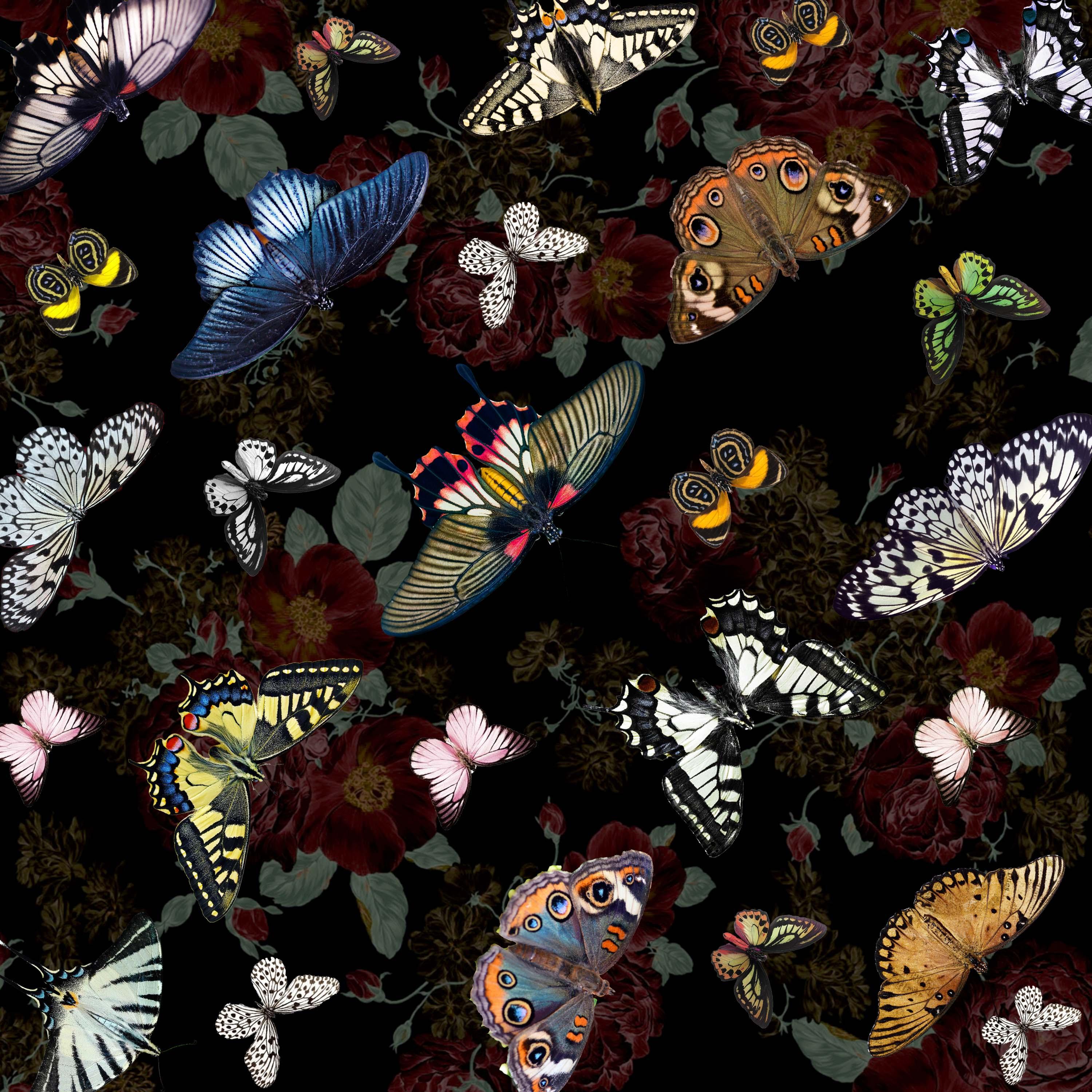 Arte contemporanea indiana di Sumit Mehndiratta - Raccolta Lowres in vendita 1