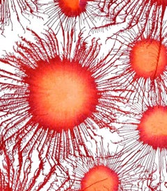 Indian Contemporary Art by Sumit Mehndiratta - Neoflora Series No.2