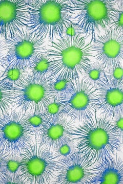 Arte contemporanea indiana di Sumit Mehndiratta - Neoflora Series No.4
