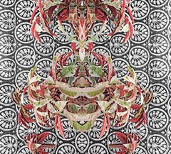 Indian Contemporary Art by Sumit Mehndiratta - Bohemian Botany