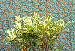 Art indien contemporain de Sumit Mehndiratta - botanique blanchie