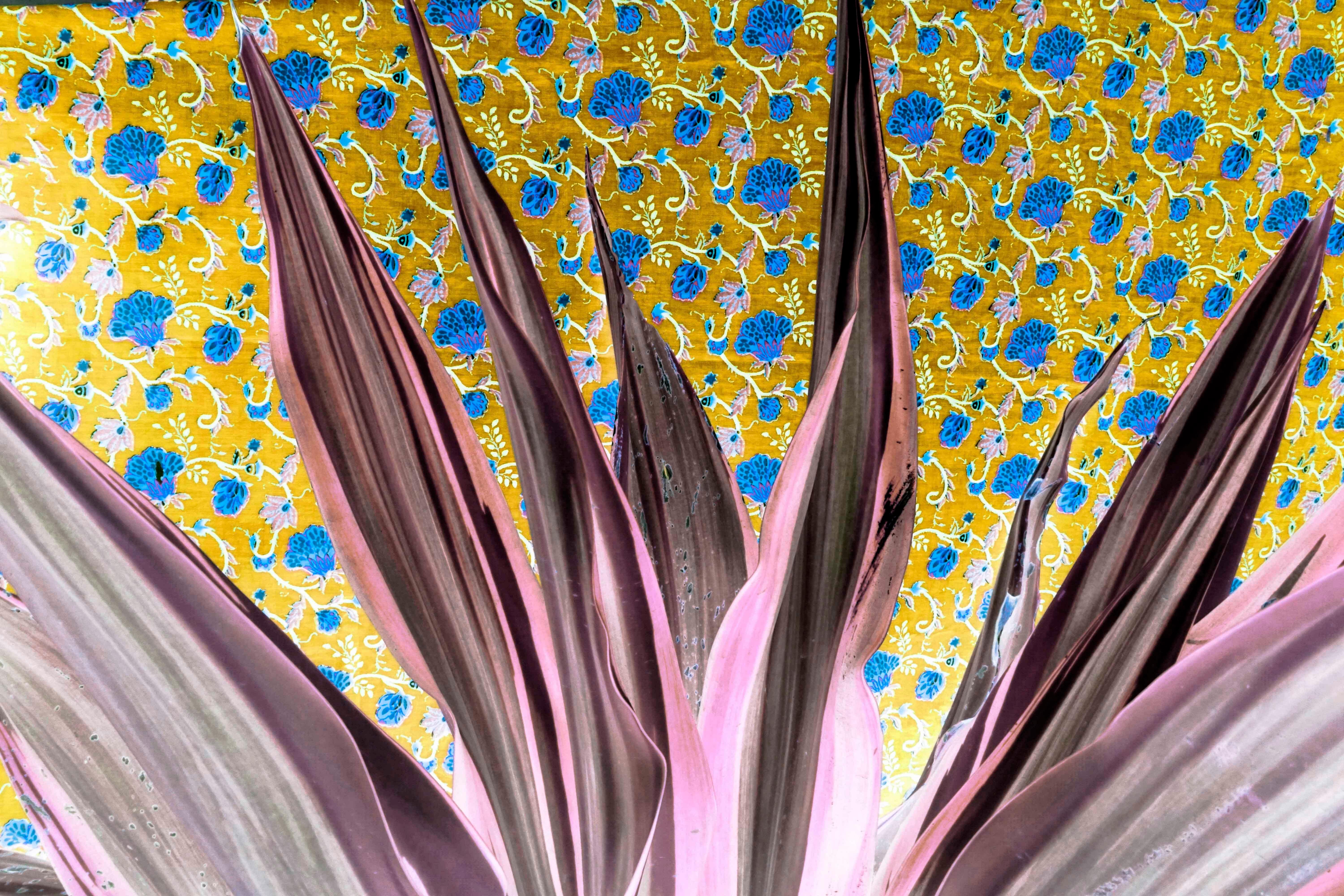 Arte contemporáneo indio de Sumit Mehndiratta - Púas Psíquicas