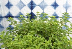 Arte contemporanea indiana di Sumit Mehndiratta - Lush Botanic