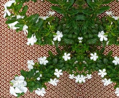 Indische zeitgenössische indische Kunst von Sumit Mehndiratta – weiße Übersetzung