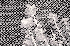 Arte contemporanea indiana di Sumit Mehndiratta - Sprout