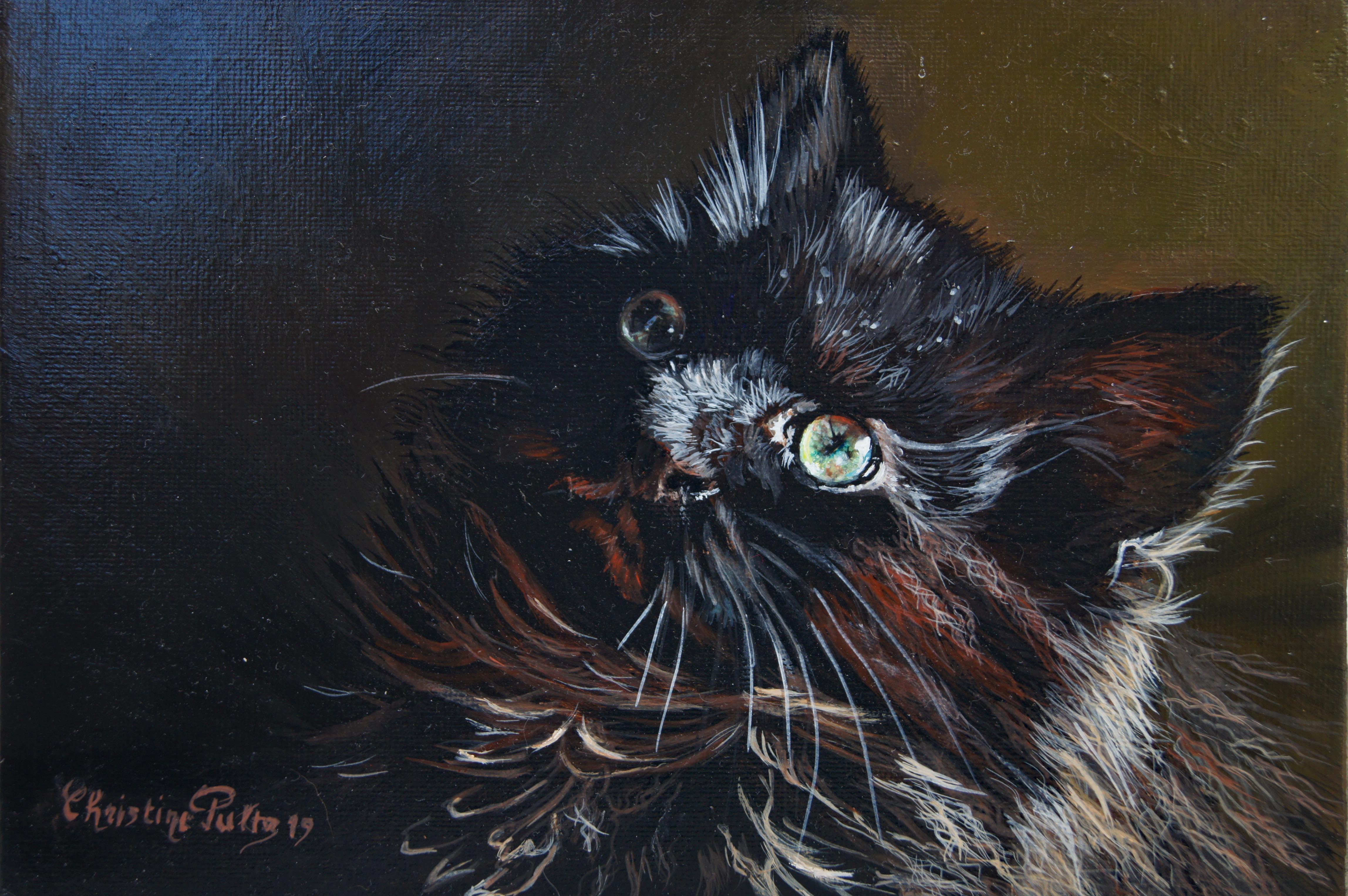 Acryl auf Leinwand

Christine Pultz ist eine französische Tiermalerin, die 1953 geboren wurde und in Pontault-Combault, Frankreich, lebt und arbeitet. Durch ihre Leidenschaft für das Malen von Tieren, insbesondere von Katzenporträts, spürt Christine