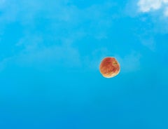 Une pomme tombe, la The Moon continue de tourner dans le ciel et nous gravitons tous les uns autour des autres.