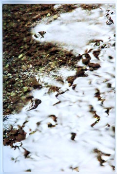 Zeitgenössisches französisches Foto von Olivier Attar – Fächer