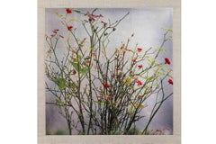 Zeitgenössische japanische Kunst von Kojun - Kensho 2349