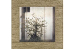 Arte contemporanea giapponese di Kojun - Kensho 2350