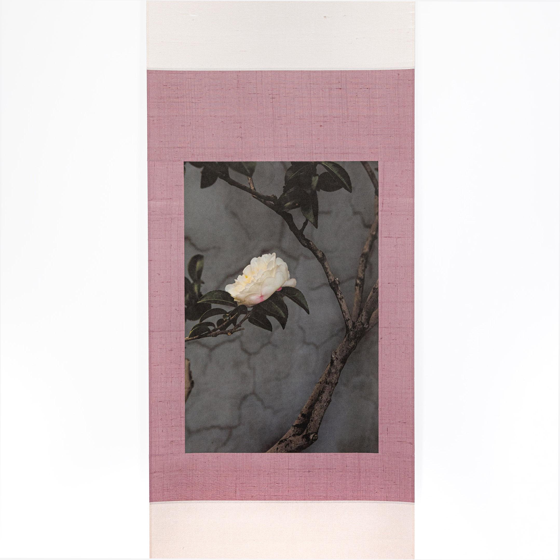 Japanische zeitgenössische japanische Kunst von Kojun - Kensho 2450  im Angebot 1
